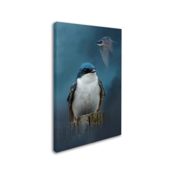 Jai Johnson 'The Beautiful Tree Swallow' Canvas Art,16x24